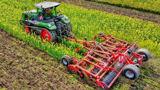 Plowing Cover Crop | FENDT 1167 + HORSCH JOKER