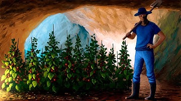 I Built a Farm In A SECRET Cave Base - DayZ