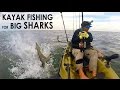 Kayak Fishing: BIG Sharks Offshore | Field Trips with Robert Field