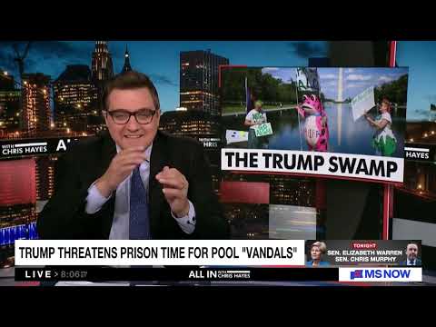 Chris Hayes can't stop laughing at Trump's 'insane' explanation for algae-filled Reflecting Pool