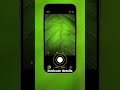 This Macro Hack Will Change Your Photos FOREVER! 🤯🍃 #iphonephotography #phototips #macrophotography