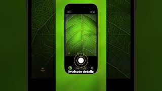This Macro Hack Will Change Your Photos FOREVER! 🤯🍃 #iphonephotography #phototips #macrophotography