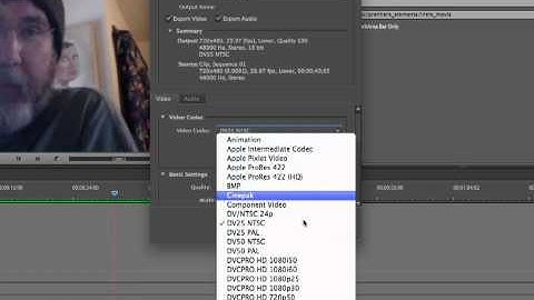 Premiere Elements 9: Export Quicktime Movie