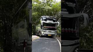 Download Lagu Story'WA bus BAIK RASA KIDS PANDA mboiss 30 detik MP3 Download Lagu Story'WA bus BAIK RASA KIDS PANDA mboiss 30 detik MP3