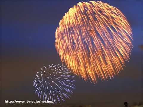 第21回 東京湾大華火祭 2008年8月10日