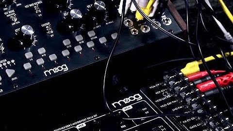 Modular Synthesis with Moog Mother-32 and Werkstatt-01