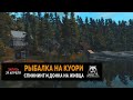 Русская Рыбалка 4 — Рыбалка на озере Куори. Рыбалка на Живца и Блесна-колебалки
