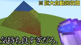 【マイクラ】 究極に気持ち良すぎる小ネタ3選..　～誰も試さないような小ネタを本気でやってきた～　【マインクラフト】【まいくら】【コマンド】【検証】