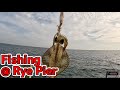 Fun fishing day at Rye Pier - King George Whiting, Flathead, Pinky, Squid and Banjo Shark!