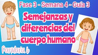 Semejanzas y diferencias del cuerpo humano