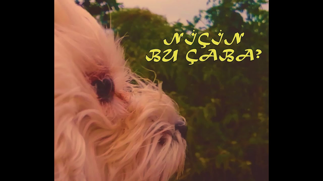 Watch Ömer Özdemir - Niçin bu çaba? (Official Video) on YouTube