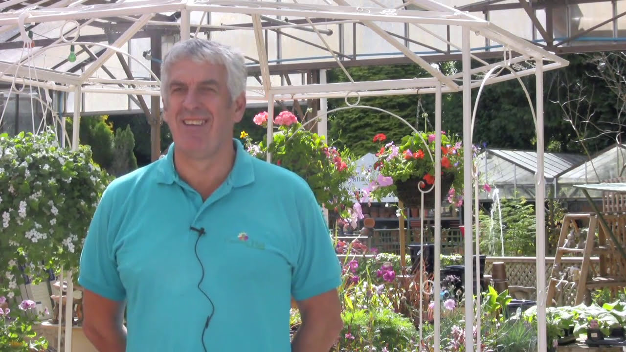 Cannon Hall Garden Centre Mikes Video Showcase Thewikihow