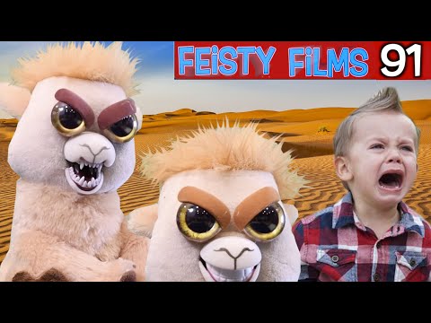 The Llamas Attack Your Kids! Feisty Films Ep. 91