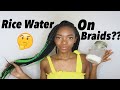 Rice Water Hair Growth Challenge on Braids | *REAL RESULTS*