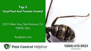 Top 3 Pest Control in Encinitas