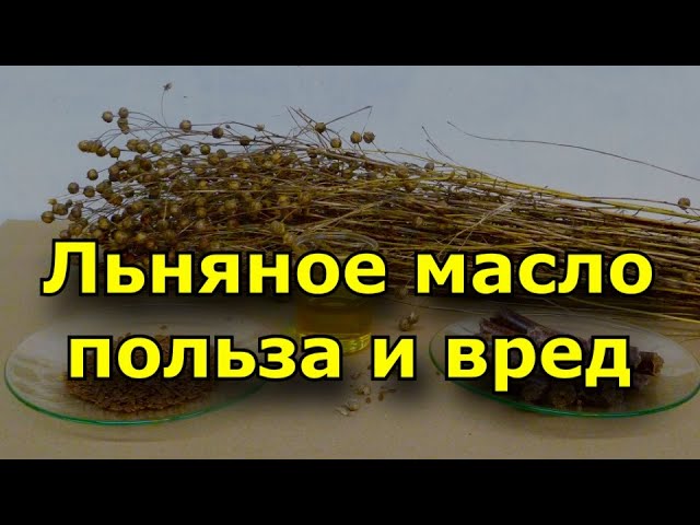 Льняное масло польза и вред.
