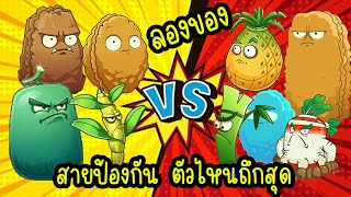 ลองของ ทดสอบความอึดของพืชสายป้องกัน EP18 Plants vs  Zombies จีน