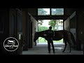 ノーザンホースパーク イメージ動画「見つけよう、輝くひとときを」Introduction of Northern Horse Park "Discovering Brilliant Moments"