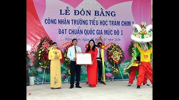 LỄ ĐÓN BẰNG CÔNG NHẬN TRƯỜNG TIỂU HỌC TRÀM CHIM 1 ĐẠT CHUẨN QUỐC GIA MỨC ĐỘ 1 NĂM 2018.
