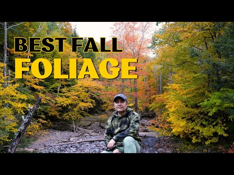 Video: Die besten Orte, um Herbstlaub in New Hampshire zu sehen