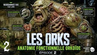 WARHAMMER 40k : Les Orks - Anatomie Fonctionnelle (2/3) Fan Lore #tabulariavetita #TVS #orks
