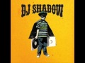 DJ Shadow Feat Mos Def Six Days The Remix 