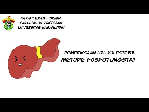 Video: Pengenalpastian Dan Analisis Fungsi Mutasi Missense Dalam Gen Lysithin Acyltransferase Dalam Pesakit Chile Dengan Hypoalphalipoproteinemia