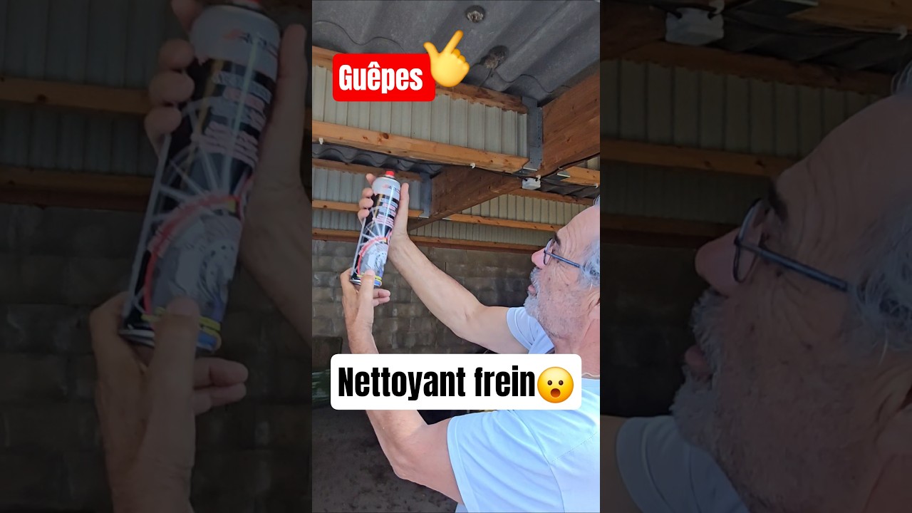 Nettoyant frein VS Guêpes😳