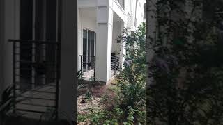 Copeland 1 bedroom courtyard view apartment Tour