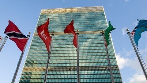 Multiple Multilateralisms