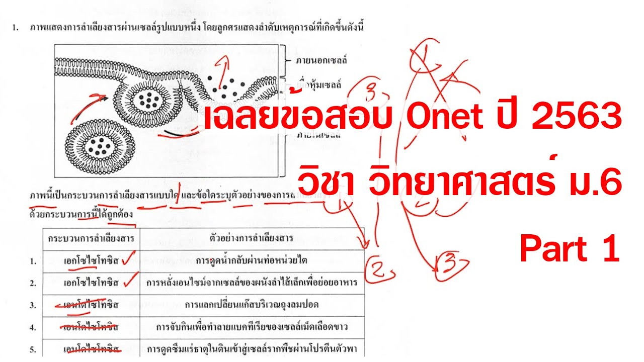 à¹€à¸‰à¸¥à¸¢à¸‚ à¸­à¸ªà¸­à¸šà¸§ à¸—à¸¢à¸²à¸¨à¸²à¸ªà¸•à¸£ à¹‚à¸­à¹€à¸™ à¸• à¸¡ 6 Onet à¸› 2563 Part1 Youtube