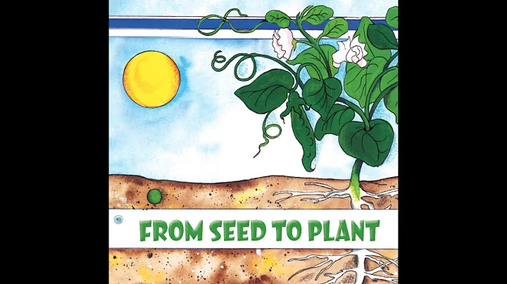 FROM SEED TO PLANT Journeys AR Read Aloud Second Grade Lesson 25 - DayDayNews