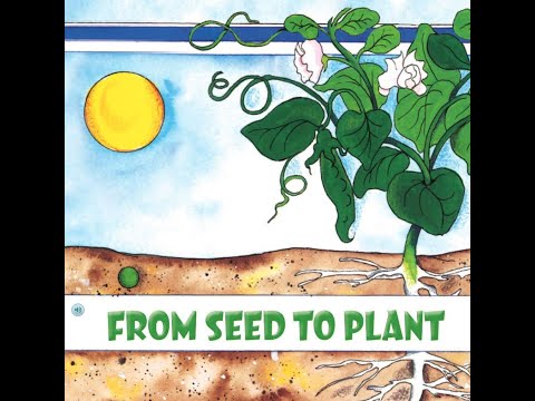 FROM SEED TO PLANT Journeys AR Read Aloud Second Grade Lesson 25