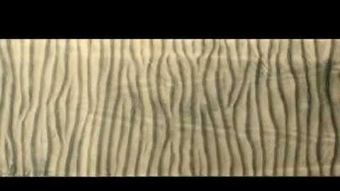 Dynamics of Wave Ripples