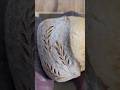 scoring sourdough:Result at the end of the shorts #T55