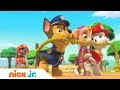 Щенячий патруль | Щенки спасают свадьбу | Nick Jr. Россия