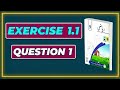 Exercise 1.1 Question 1 class 9th math new book
