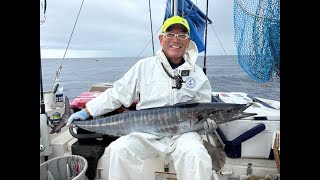 250913オキザワラ11kg