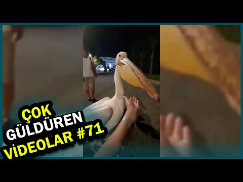 ÇOK GÜLDÜREN VİDEOLAR #71 / EN ÇOK İZLENEN TİKTOK VE İNSTAGRAM VİDEOLARI (Komik Videolar)