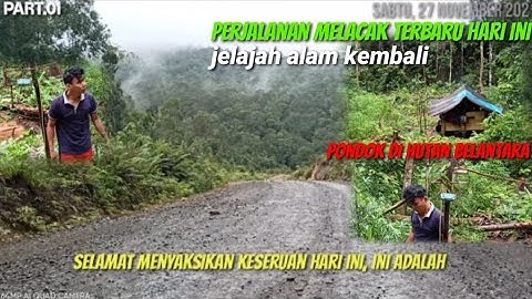 Explore burung serindit puling_menjalur alam himba himba alami.part.01