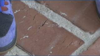 BISD launches attendance incentive program as absences top 31,000