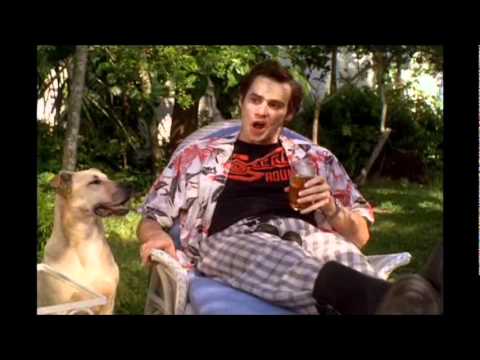 ace ventura dog