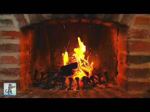 Cozy Fireplace ~ Relaxing Burning Fireplace x Crackling Fire Sounds