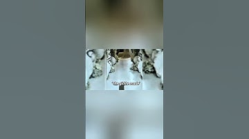 JessNoLimit❤‍🩹 #jessnolimit #mlbb #mobilelegends #shorts #love