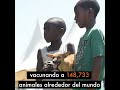 Nos ayudaste a proteger 224 millones de animales en 2020