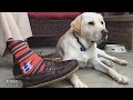Ref:zRIH-LO6Qks George p. bush on the family passion for politics... and socks