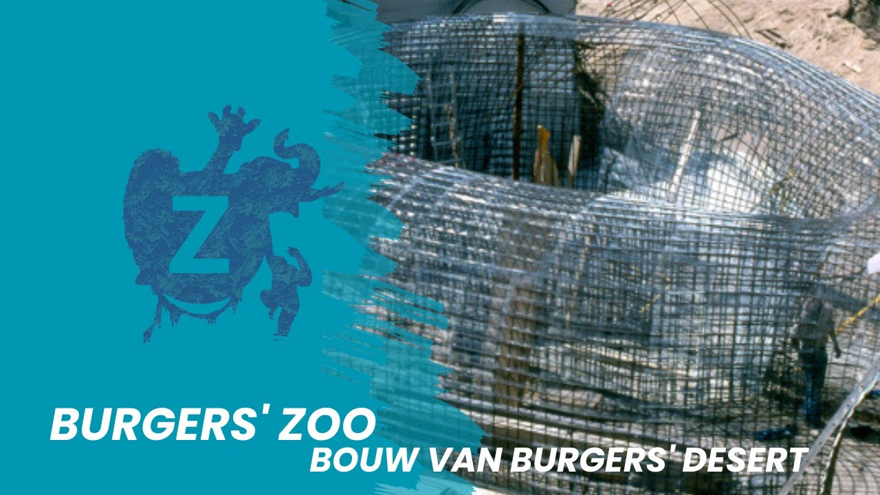 Terugblik: Burgers' Zoo - bouw van Burgers' Desert