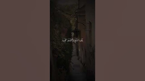 وتوكل على العزيز الرحيم تلاوة بصوت الشيخ ماهر المعيقلي