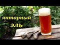 Рецепт домашнего пива - Янтарный Эль