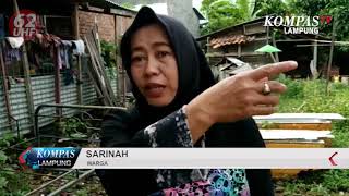 PULUHAN EKOR AYAM MILIK WARGA MATI MENDADAK